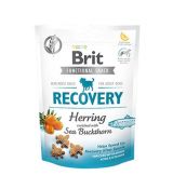 Brit Care Dog Functional Snack Recovery Hering 150 g