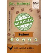 Dr. Animal bažant mäs. prúžky 80g